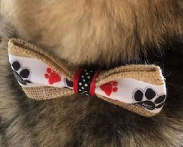 Dog Bow Tie, Who Rescued Who Dog Bow tie, Bow tie for Dogs, Pets, Bowtie, Bow Ties, Dog accessories, Dog birthday gift, Dog lover gift