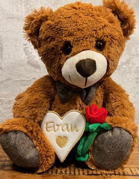 Teddy Bear Valentine Plush personalized, customized, Mother's Day gift, Teddy bear  embroidered, Valentine plush